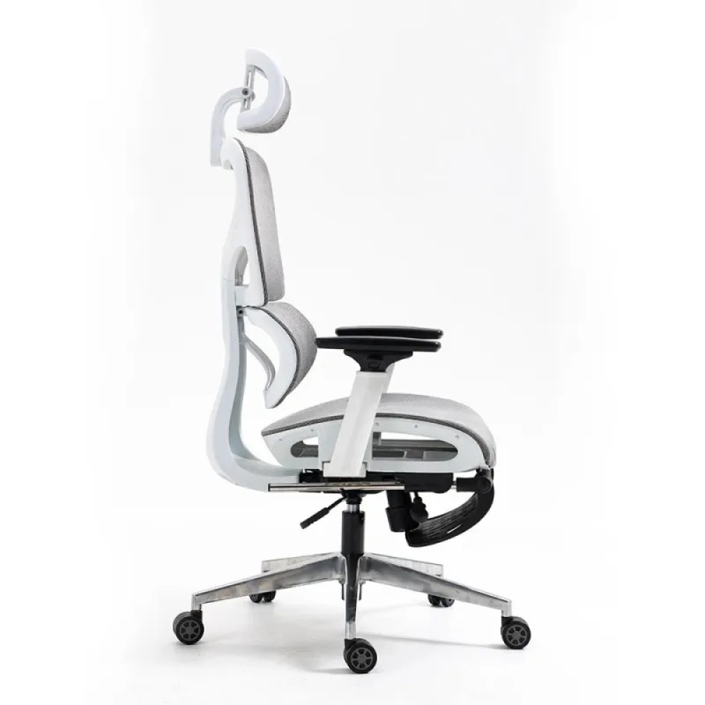 Ghế Công Thái Học Lưng V – CTH17