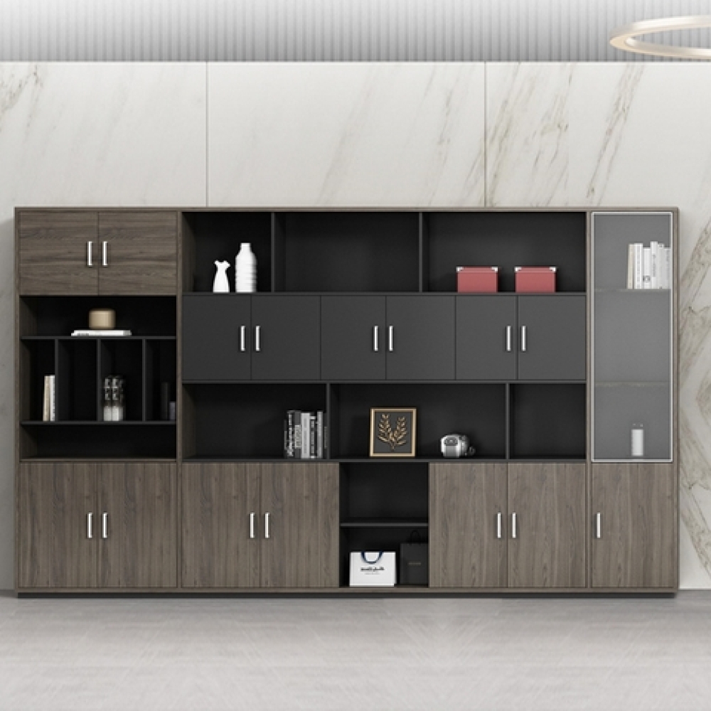Tủ Đựng Hồ Sơ Văn Phòng Hiện Đại – TL 48