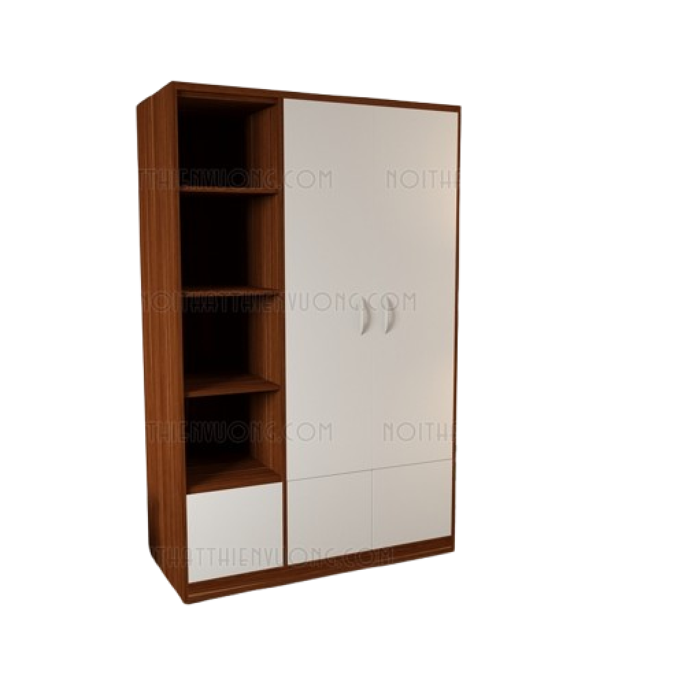 tủ quần áo 2 cánh ngăn chứa đồ màu 6041