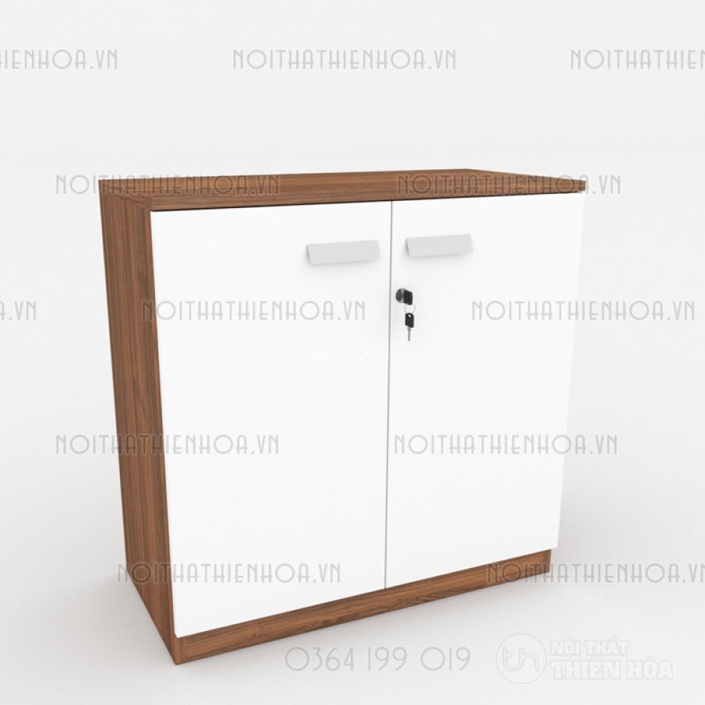 Tủ tài liệu classic CL80-01T