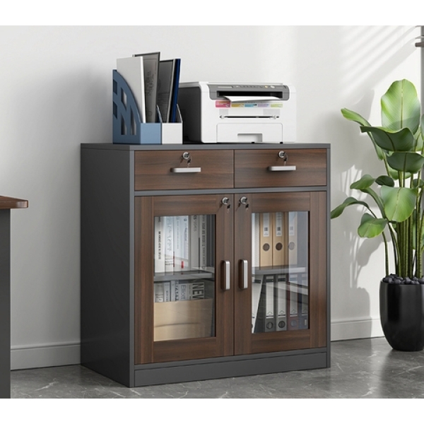 Tủ đựng hồ sơ cánh kính – TL 37