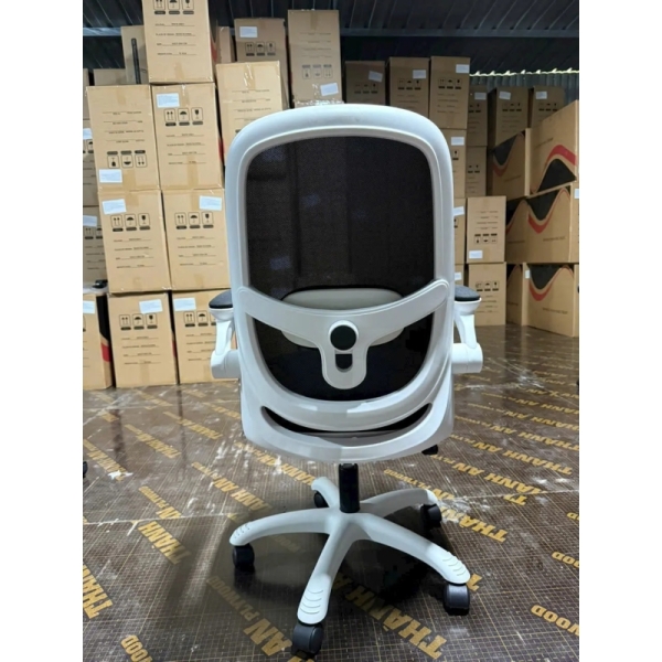 Ghế Công Thái Học T19 Trẻ Trung Tiện Nghi Hiện Đại – GX75