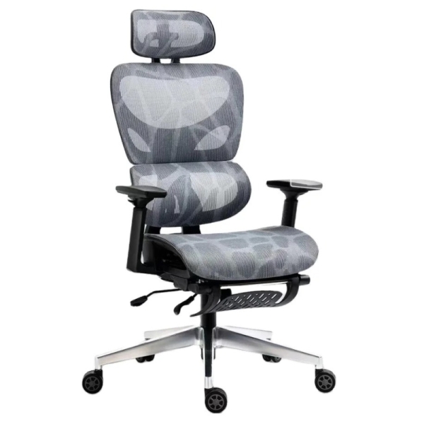 Ghế Công Thái Học Lưng V – CTH17