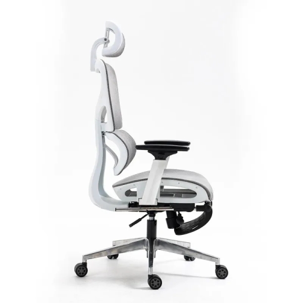 Ghế Công Thái Học Lưng V – CTH17
