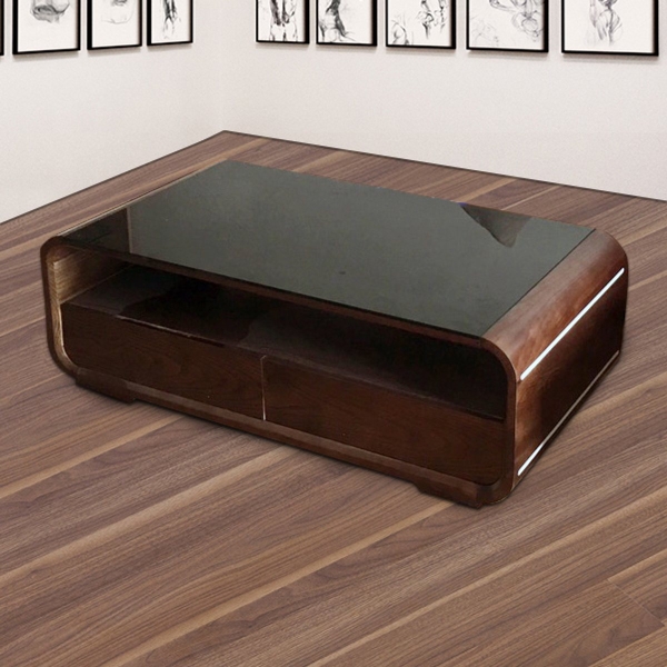 Bàn trà, bàn sofa gỗ tự nhiên mặt kính 13
