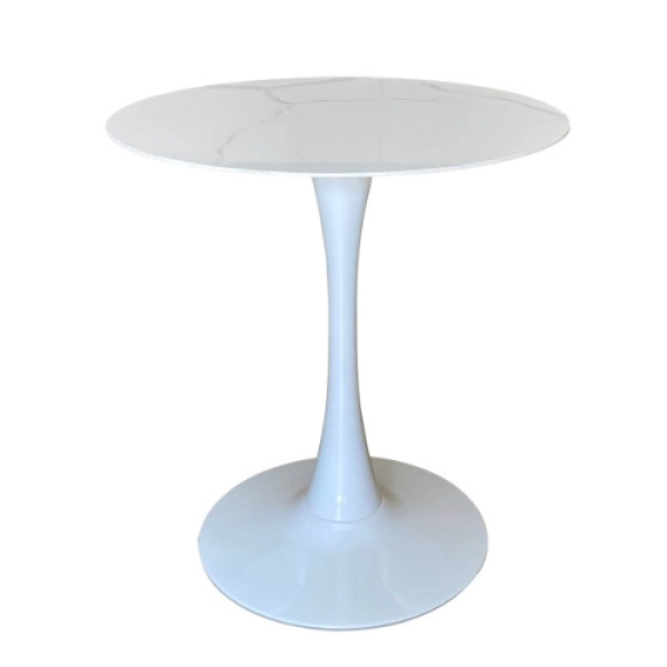 Bộ bàn tiếp khách spa cao cấp- Mã: T117D-60-2×284