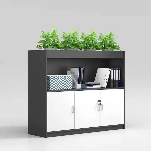 Tủ cây trang trí để hồ sơ TC2C12-426