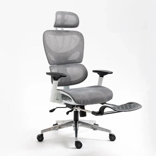 Ghế Công Thái Học Lưng V – CTH17